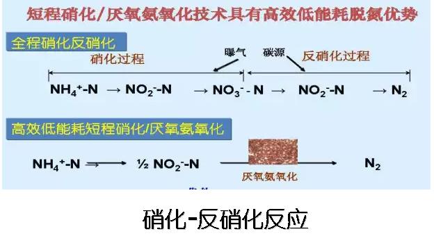 离子交换技术：改变水处理和环境保护的未来